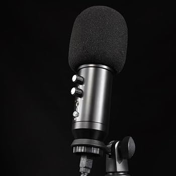 Amazon.co.jp: Merucy オーディオインターフェイス エコー内臓